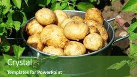  Presentation with bourbon st new orleans - Beautiful presentation featuring new potatoes in metal bucket backdrop and a  colored foreground