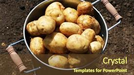  Presentation with metal - Amazing presentation having new potatoes in metal bucket backdrop and a tawny brown colored foreground