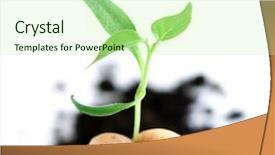  Presentation with abstract spring green - Presentation design with new start - green sprout background and a  colored foreground