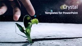  Presentation with planets - Audience pleasing presentation theme consisting of bio earth - life on other planets backdrop and a navy blue colored foreground