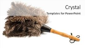  Presentation with new order - Beautiful presentation design featuring new world order - feather duster against white background backdrop and a white colored foreground