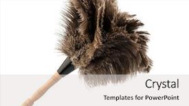  Presentation with cleanliness - Slides featuring new world order - feather duster against white background background and a light gray colored foreground