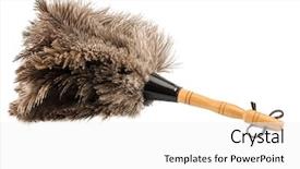  Presentation with cleanliness - Amazing slides having new world order - feather duster against white background backdrop and a white colored foreground