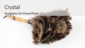  Presentation with feather - Beautiful slide deck featuring new world order - feather duster against white background backdrop and a white colored foreground