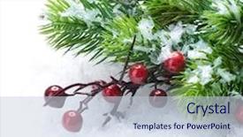  Presentation with snow tree cicular - Colorful theme enhanced with new year 2011 celebration - christmas tree and decorations backdrop and a lemonade colored foreground