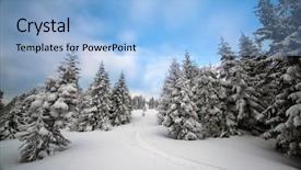  Presentation with winter wonderland - Colorful PPT layouts enhanced with new year background with winter backdrop and a light blue colored foreground
