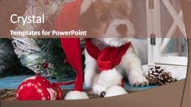  Presentation with hydraulic press bottle jack - Colorful slide deck enhanced with new year s baby - jack russell terrier in santa backdrop and a coral colored foreground