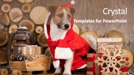  Presentation with russell - Audience pleasing PPT layouts consisting of new year s baby - jack russell terrier in santa backdrop and a coral colored foreground