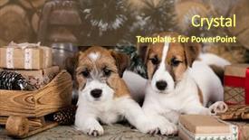  Presentation with hydraulic press bottle jack - Presentation theme with new year s baby - jack russell terrier in santa background and a tawny brown colored foreground