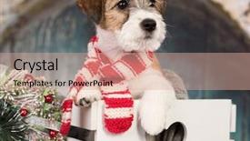  Presentation with hydraulic press bottle jack - Colorful slides enhanced with new year s baby - jack russell terrier in santa backdrop and a coral colored foreground