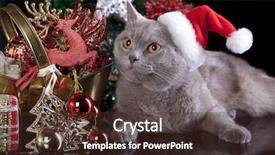  Presentation with dog and cat on computer - Presentation design featuring new year template - british cat in a santa background and a tawny brown colored foreground