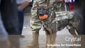  Presentation with corrections - Presentation with new-york-11-nov-2016 background and a gray colored foreground