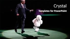  Presentation with garden city - Audience pleasing slide deck consisting of new-york-feb-11-ally backdrop and a black colored foreground