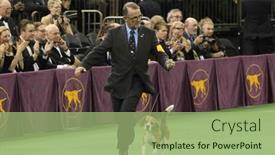  Presentation with award show - Amazing PPT layouts having new-york-feb-17-miss backdrop and a mint green colored foreground