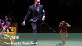  Presentation with champion - Cool new PPT theme with new-york-february-14-adam backdrop and a gray colored foreground