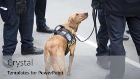  Presentation with funeral service - 