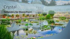  Presentation with botanical - 