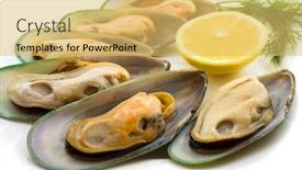  Presentation with new zealand - Slide deck consisting of new zealand green mussels on white background and a yellow colored foreground