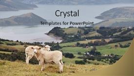  Presentation with new zealand - Beautiful PPT theme featuring new zealand landscape banks peninsula backdrop and a light blue colored foreground