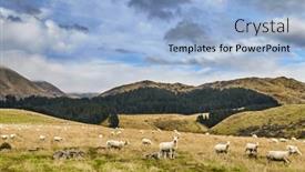  Presentation with grazing - Slide set consisting of new-zealand-landscape-with-forest background and a  colored foreground