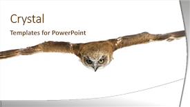  Presentation with new years - PPT theme with abstract background - flowing thin pattern of golden brown against black with copy space background and a black colored foreground