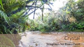  Presentation with beautiful landscapes - Amazing PPT layouts having new-zealand-river-in-jungle backdrop and a coral colored foreground