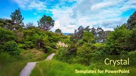  Presentation with new zealand - PPT layouts featuring new-zealand-the-road background and a tawny brown colored foreground