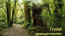 Presentation with walking trail - PPT theme with new zealand tropical forest background and a tawny brown colored foreground