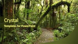  Presentation with walking trail - Theme consisting of new zealand tropical forest background and a tawny brown colored foreground