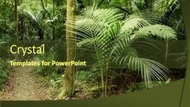  Presentation with tropical forest - Slide set consisting of up of sydney harbour bridge background and a coral colored foreground