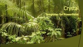  Presentation with tropical forest - Cool new PPT layouts with new zealand tropical jungle forest backdrop and a tawny brown colored foreground