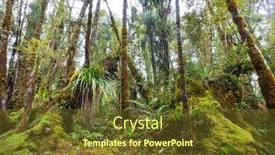  Presentation with tropical forest - Presentation theme featuring new-zealand-tropical-jungle-forest background and a tawny brown colored foreground
