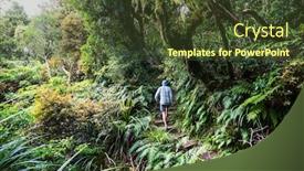  Presentation with tropical forest - Audience pleasing PPT theme consisting of new-zealand-tropical-jungle-forest backdrop and a tawny brown colored foreground
