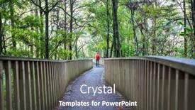  Presentation with tropical forest - Presentation design consisting of new-zealand-tropical-jungle-forest background and a dark gray colored foreground