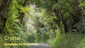  Presentation with maori new zealand native bush - Presentation theme consisting of new-zealand-tropical-jungle-forest background and a tawny brown colored foreground