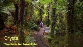  Presentation with tropical forest - Beautiful PPT theme featuring new-zealand-tropical-jungle-forest backdrop and a tawny brown colored foreground