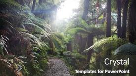  Presentation with tropical forest - Amazing presentation design having new-zealand-tropical-jungle-forest backdrop and a dark gray colored foreground