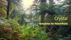  Presentation with tropical forest - Presentation theme enhanced with new-zealand-tropical-jungle-forest background and a tawny brown colored foreground