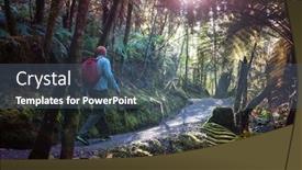  Presentation with tropical forest - Presentation theme featuring new-zealand-tropical-jungle-forest background and a ocean colored foreground