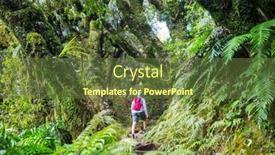  Presentation with tropical forest - Cool new PPT theme with new-zealand-tropical-jungle-forest backdrop and a tawny brown colored foreground