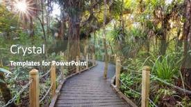  Presentation with tropical forest - Colorful PPT layouts enhanced with new-zealand-tropical-jungle-forest backdrop and a ocean colored foreground