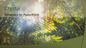  Presentation with new zealand - Cool new slide deck with new-zealand-tropical-jungle-forest backdrop and a coral colored foreground