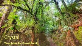  Presentation with tropical forest - Audience pleasing PPT layouts consisting of new-zealand-tropical-jungle-forest backdrop and a tawny brown colored foreground