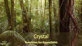  Presentation with tropical forest - Colorful PPT theme enhanced with new zealand tropical jungle forest backdrop and a tawny brown colored foreground