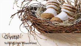  Presentation with motherhood - Colorful theme enhanced with newborn baby booties in nest backdrop and a coral colored foreground