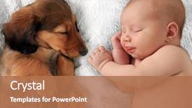  Presentation with baby girl - Colorful slide set enhanced with newborn baby girl and dachshund backdrop and a coral colored foreground