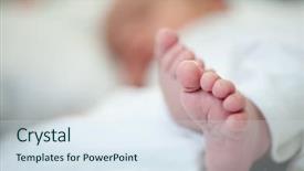  Presentation with new life baby plant - Audience pleasing slide deck consisting of newborn baby in first week backdrop and a  colored foreground