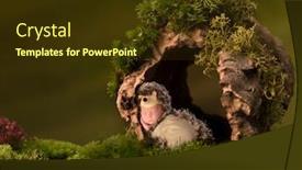  Presentation with baby tree - Colorful theme enhanced with newborn baby in hedgehog costume sleeping in a hollow tree trunk backdrop and a tawny brown colored foreground