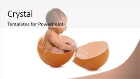  Presentation with newborn - Amazing PPT layouts having newborn birth in egg backdrop and a light gray colored foreground
