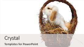  Presentation with easter basket - Presentation having newborn free - cute baby easter bunny background and a light gray colored foreground